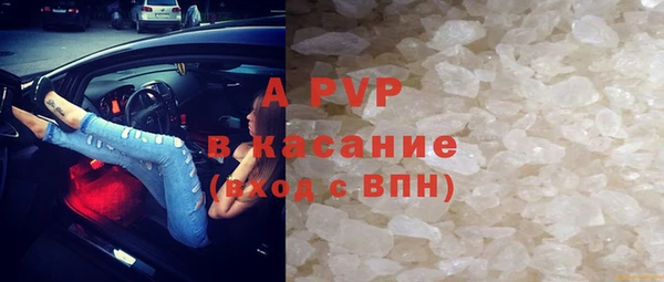прущие грибы Алексеевка