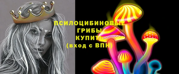 прущие грибы Алексеевка